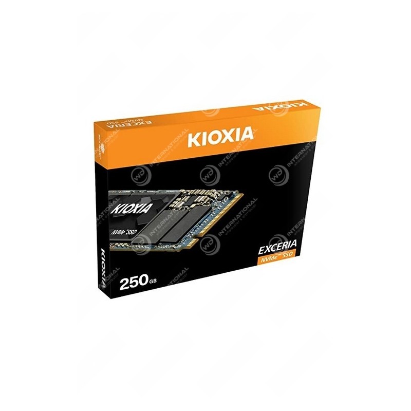 Kioxia Exceria SSD Interne M.2 (2280) 250GB (PCIe/NVMe)