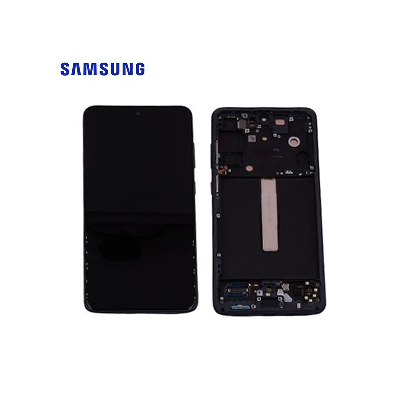 Ecran Samsung Galaxy S21 FE Graphite Service Pack